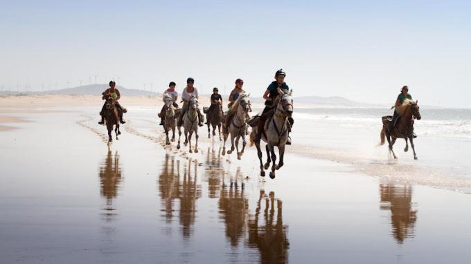 Camping & Hotel Le Calme Essaouira Ngoại thất bức ảnh