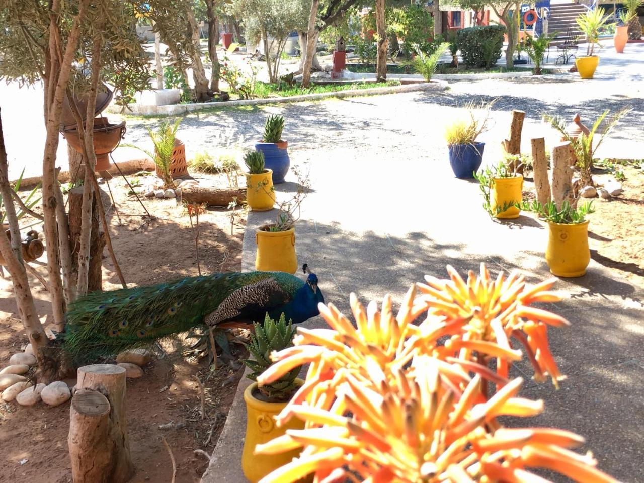 Camping & Hotel Le Calme Essaouira Ngoại thất bức ảnh