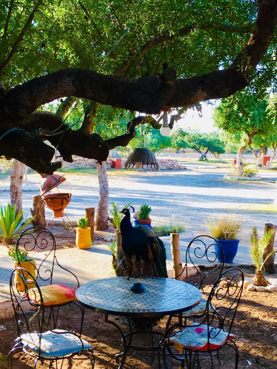 Camping & Hotel Le Calme Essaouira Ngoại thất bức ảnh