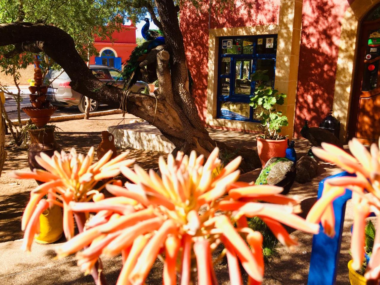 Camping & Hotel Le Calme Essaouira Ngoại thất bức ảnh